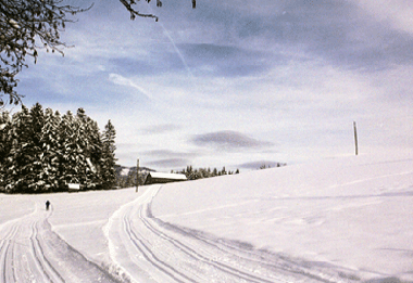 Appartement de vacances /en/au Abtenau (Salzburg und Umgebung)ou appartement ou maison de vacances