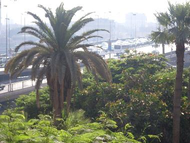 Appartement de vacances �/en/au Cairo (Al Qahirah)ou appartement ou maison de vacances