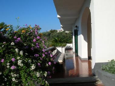 Maison de vacances �/en/au Sorrento (Napoli)ou appartement ou maison de vacances
