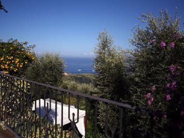 Maison de vacances �/en/au Sorrento (Napoli)ou appartement ou maison de vacances