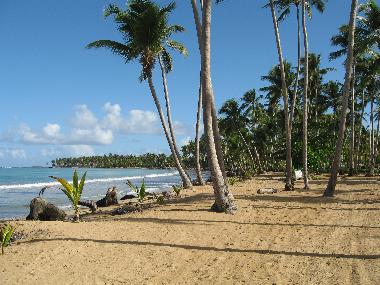 Maison de vacances �/en/au LAS TERRENAS (Samana)ou appartement ou maison de vacances