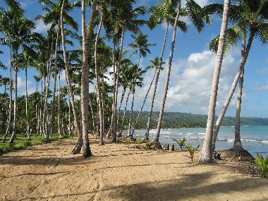 Maison de vacances �/en/au LAS TERRENAS (Samana)ou appartement ou maison de vacances