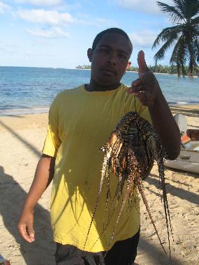 Maison de vacances �/en/au LAS TERRENAS (Samana)ou appartement ou maison de vacances