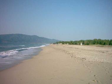 Plage d