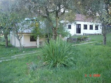 Chalet �/en/au Barcelos (Norte)ou appartement ou maison de vacances
