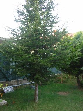 Maison de vacances /en/au Banjole-Pula (Istarska)ou appartement ou maison de vacances