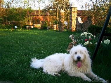 H�tel �/en/au HARAU (Hunedoara)ou appartement ou maison de vacances