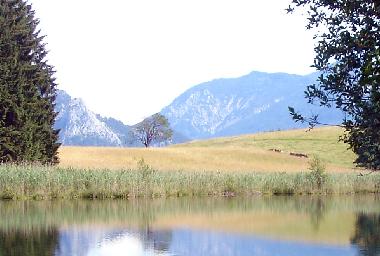 Appartement de vacances /en/au Rth (Linz-Wels)ou appartement ou maison de vacances