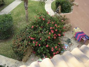 Maison de vacances /en/au Zahara de los Atunes (Cdiz)ou appartement ou maison de vacances