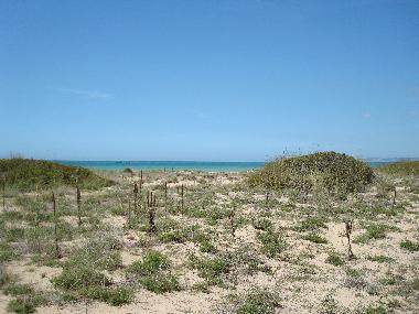 Maison de vacances /en/au Zahara de los Atunes (Cdiz)ou appartement ou maison de vacances