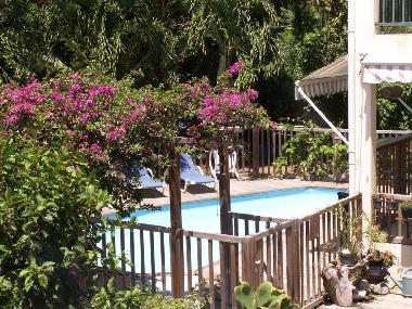 Maison de vacances �/en/au Deshaies (Guadeloupe)ou appartement ou maison de vacances