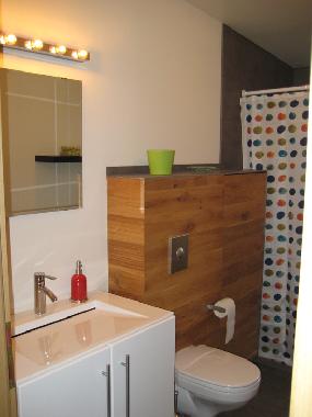 Maison de vacances �/en/au Laugarvatn (Arnessysla)ou appartement ou maison de vacances