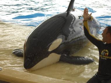 Appartement de vacances �/en/au costadelsilencio (Teneriffa)ou appartement ou maison de vacances