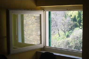 Vue panoramique sur le vert