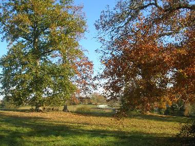 Appartement de vacances �/en/au Ronsenac (Charente)ou appartement ou maison de vacances