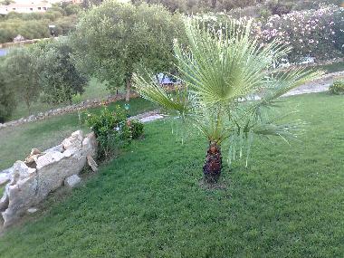 Maison de vacances /en/au porto ottiolu (Olbia-Tempio)ou appartement ou maison de vacances