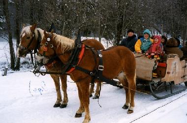 Maison de vacances �/en/au Lechbruck am See (Bayerische Schwaben)ou appartement ou maison de vacances