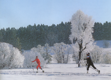 Maison de vacances �/en/au Lechbruck am See (Bayerische Schwaben)ou appartement ou maison de vacances