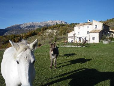 GITE CAMPAGNE TOGE AVEC BAGUI ET LES 2 ANES