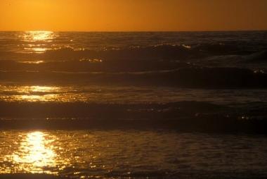 Maison de vacances �/en/au Egmond aan Zee (Noord-Holland)ou appartement ou maison de vacances