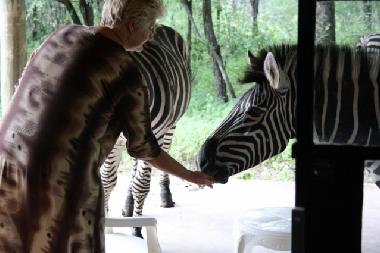 Maison de vacances �/en/au Marloth park (Mpumalanga)ou appartement ou maison de vacances