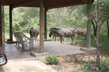Maison de vacances �/en/au Marloth park (Mpumalanga)ou appartement ou maison de vacances