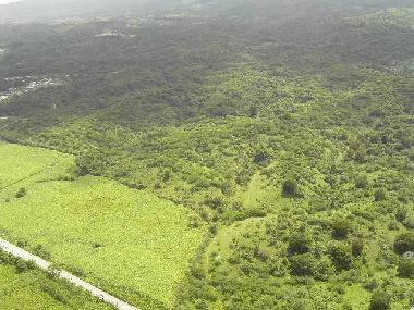 Appartement de vacances �/en/au Cangrejo (Puerto Plata)ou appartement ou maison de vacances