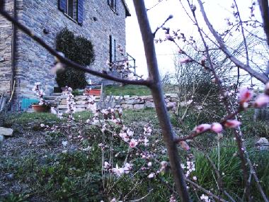 Appartement de vacances �/en/au Urbania (Pesaro e Urbino)ou appartement ou maison de vacances