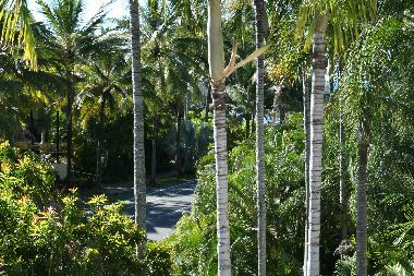 Appartement de vacances �/en/au PORT DOUGLAS (