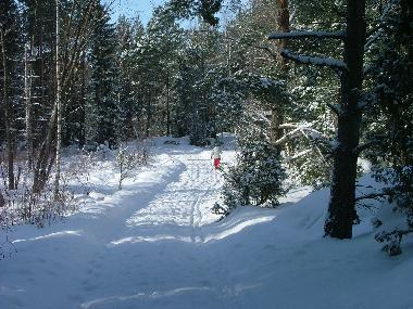 Maison de vacances /en/au Drottningholm, Stockholm (Stockholm)ou appartement ou maison de vacances