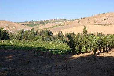 Maison de vacances �/en/au Calatafimi Segesta (Trapani)ou appartement ou maison de vacances