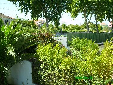 jardin