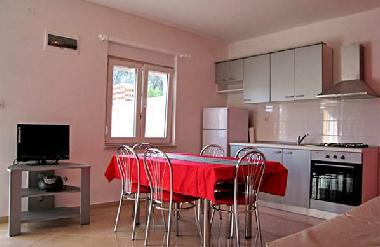 Maison de vacances /en/au Novigrad (Zadarska)ou appartement ou maison de vacances