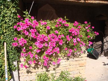 Maison de vacances �/en/au Arcenant (C�te-d