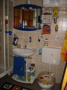 Maison de vacances �/en/au holving (Moselle)ou appartement ou maison de vacances