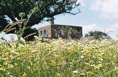 La maison au Printemps