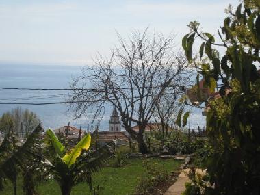 Maison de vacances /en/au Calheta (Madeira)ou appartement ou maison de vacances