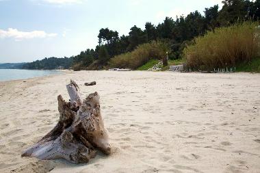 Maison de vacances /en/au Hanioti (Chalkidiki)ou appartement ou maison de vacances