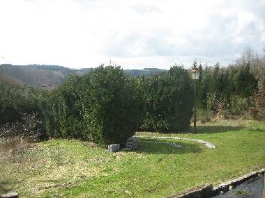 Maison de vacances /en/au Engreux (Wallonia)ou appartement ou maison de vacances