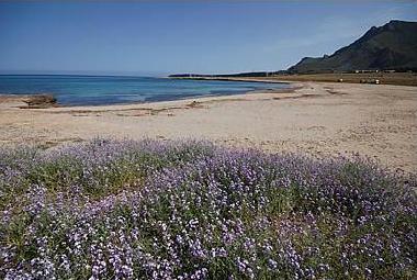 Maison de vacances /en/au san vito lo capo (Trapani)ou appartement ou maison de vacances