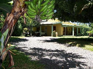 Maison de vacances /en/au Berive (Runion)ou appartement ou maison de vacances