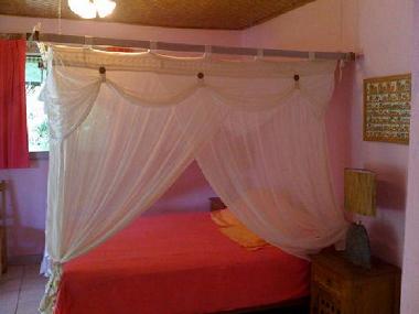 Maison de vacances /en/au Berive (Runion)ou appartement ou maison de vacances