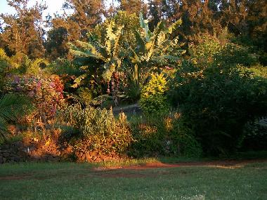 Maison de vacances /en/au Berive (Runion)ou appartement ou maison de vacances