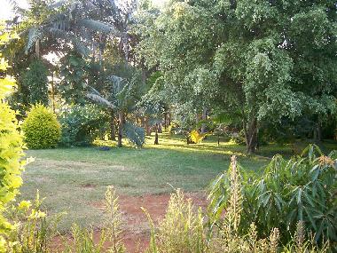 Maison de vacances /en/au Berive (Runion)ou appartement ou maison de vacances