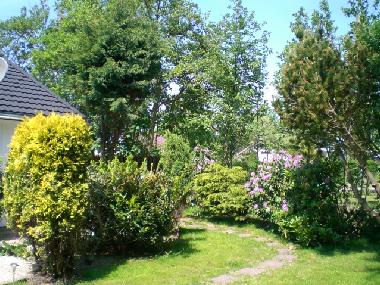 Maison de vacances /en/au Julianadorp (Noord-Holland)ou appartement ou maison de vacances