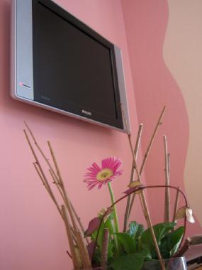 Appartement de vacances �/en/au Tolmin (Tolmin)ou appartement ou maison de vacances