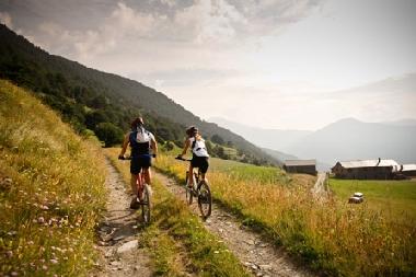 Appartement de vacances /en/au La Massana (La Massana)ou appartement ou maison de vacances