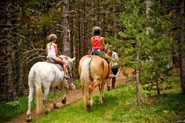 Appartement de vacances /en/au La Massana (La Massana)ou appartement ou maison de vacances