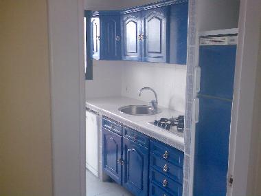 Appartement de vacances �/en/au San Pedro de Alc�ntara (M�laga)ou appartement ou maison de vacances