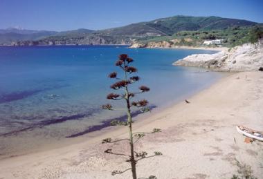 Appartement de vacances /en/au Isola d